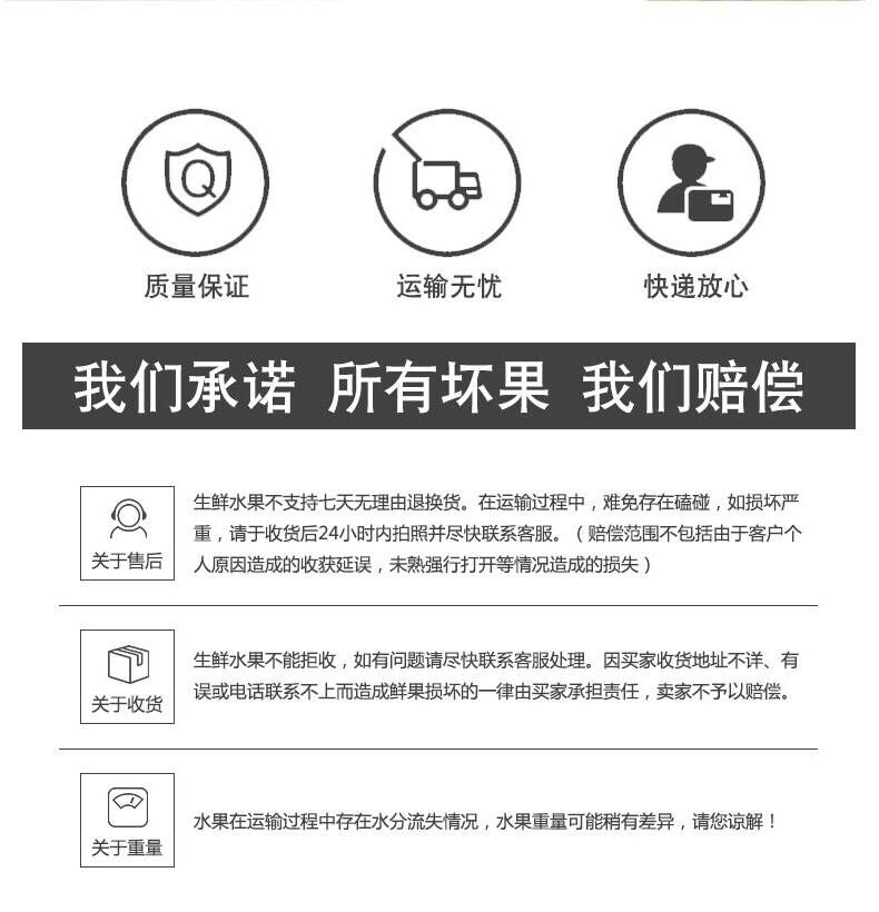 冰糖心苹果 【洛川红富士】新果陕西冰糖心红富士甜心10斤批发