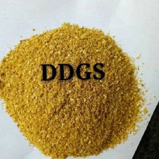 石家庄 玉米酒糟（DDGS）