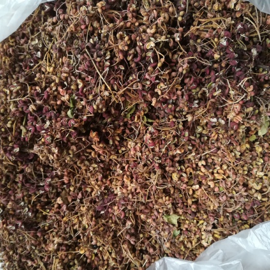  自已生产的花椒，纯新花椒无参杂质