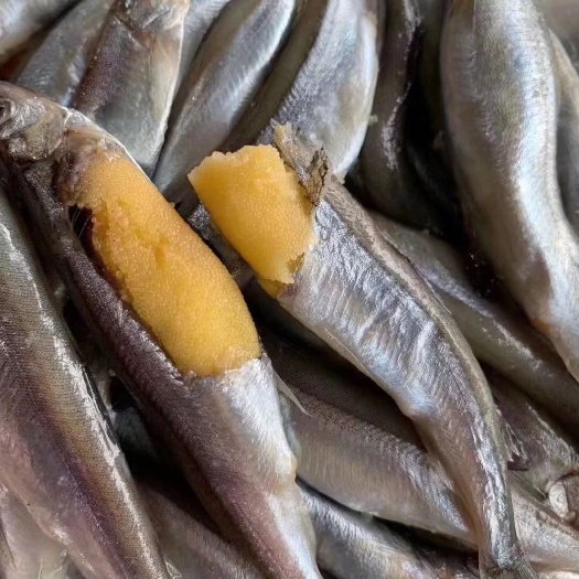 饶平县冻多春鱼 多春鱼