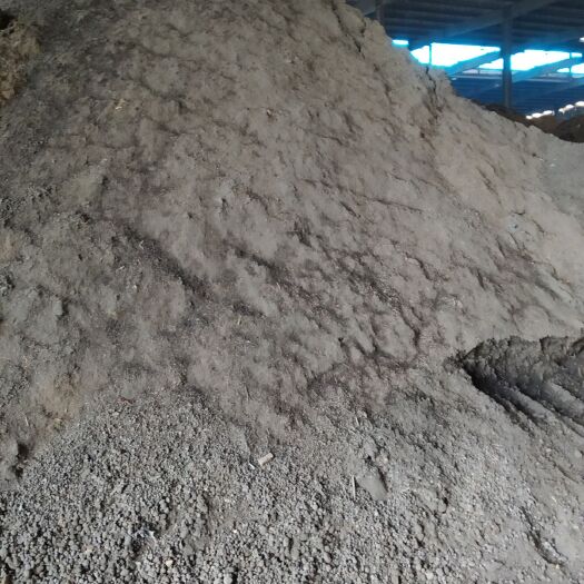 绵阳 大量出售有机肥牛粪
