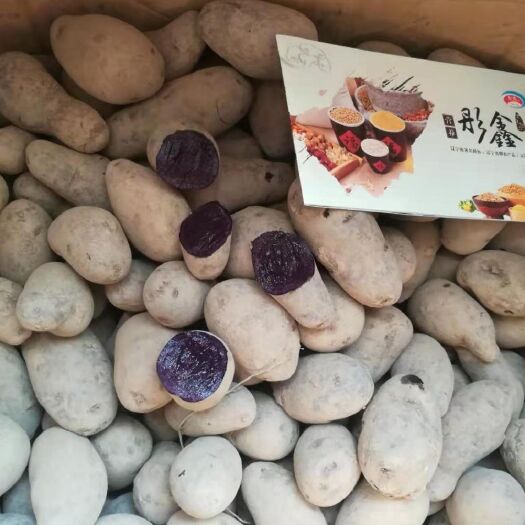 辽阳 黑土豆种子抗病耐寒富硒黑金刚黑土豆紫土豆种子