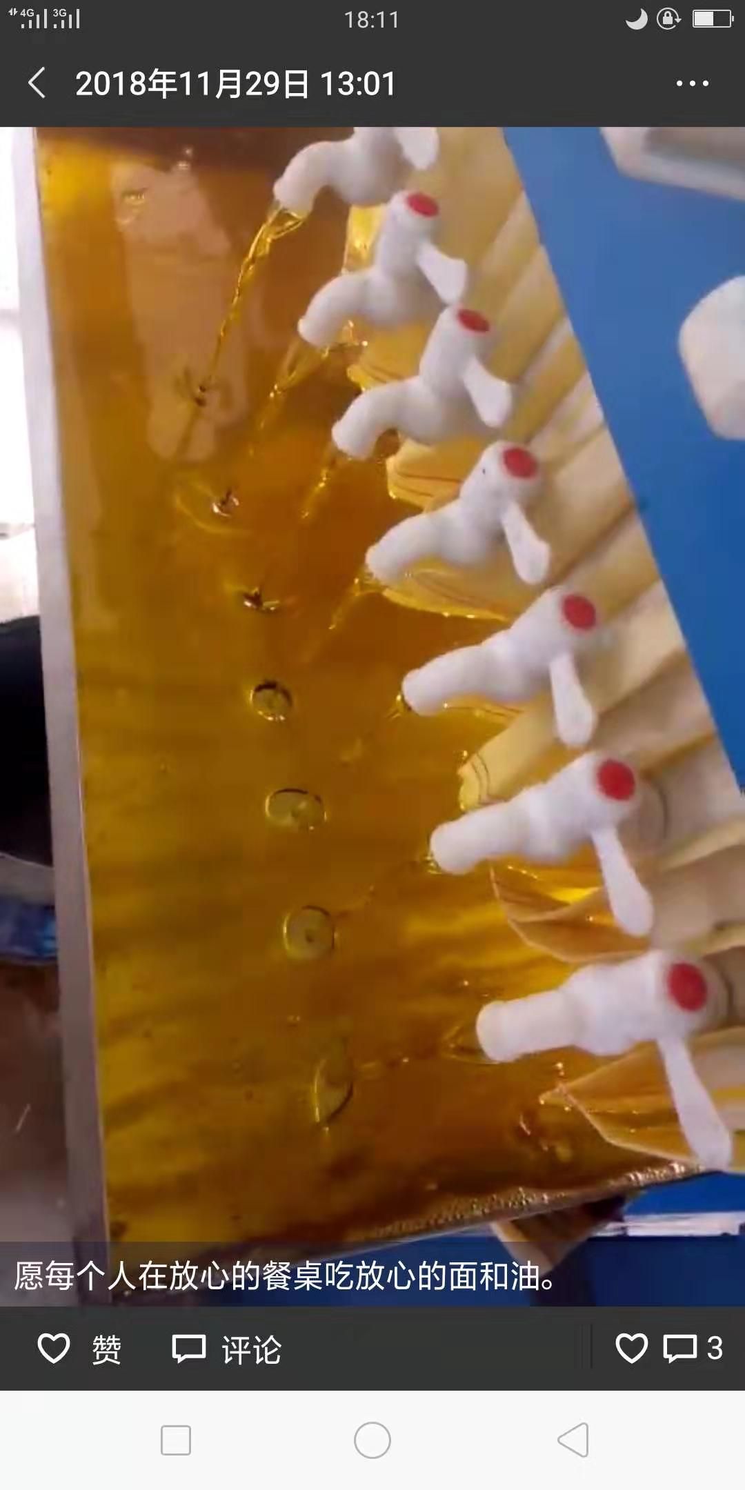 冷榨亚麻籽油 宁夏六盘山天然绿色食品，原汁原味