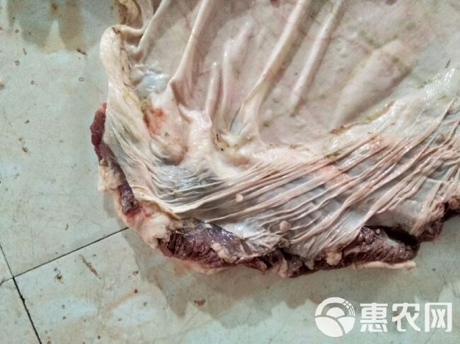 牛隔子肉，胸腔和腹腔中间的那块肉，最好做法就是拿来清