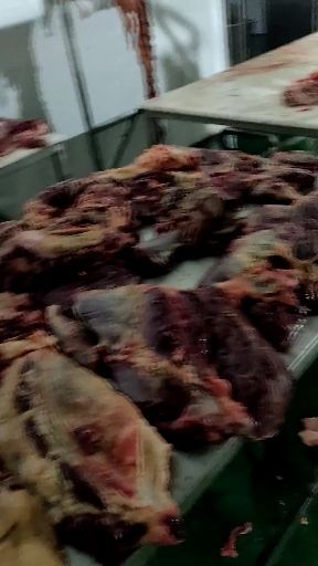 镇宁县牛排 生肉