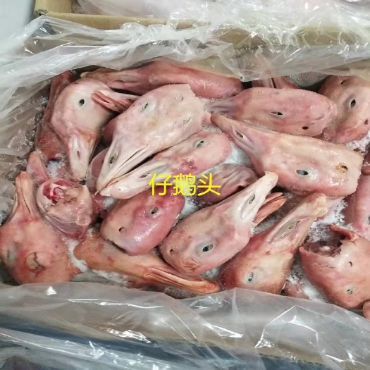 南京 仔鹅头生鲜 冷冻生鹅头整箱20斤无包大鹅头鹅副产品
