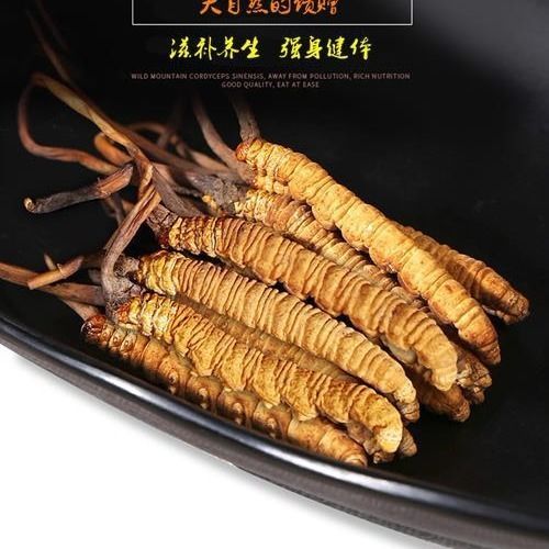  西藏那曲冬虫夏草那曲虫草冬虫夏草正品