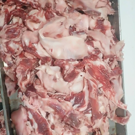 阳信县牛肉筋，筋头巴脑食材，有肉有筋，新鲜口感好。