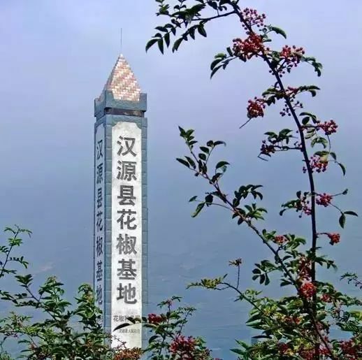 汉源县 汉源花椒质量数第一