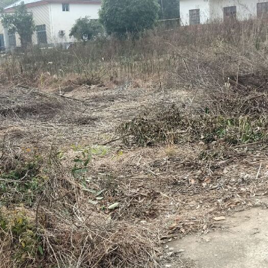 浏阳市工业用地 集体经营性建设用地