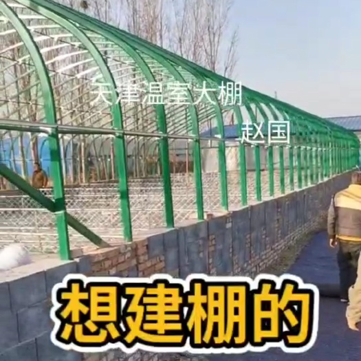 天津大棚管 12*50米包塑管猪棚，造价低，使用寿命长