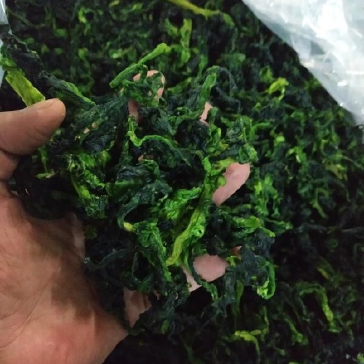 沧县脱水万年青小菜心餐饮食材