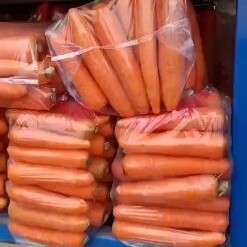 通许县开封通许县精品胡萝卜  冷库精品胡萝卜