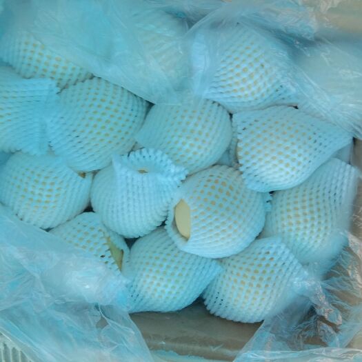 晋州市 精品皇冠梨