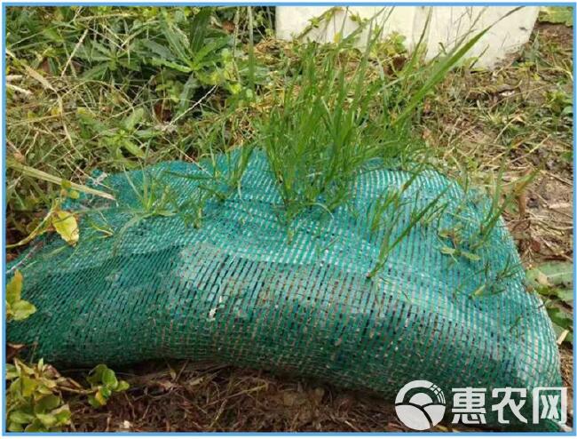  源头工厂生产批发绿化护坡植生袋 河道治理植草带 生态袋