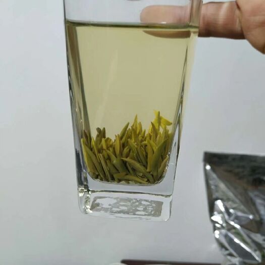 雅安竹叶青茶 春季新茶竹叶青