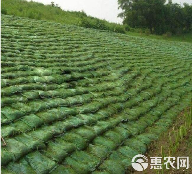  源头工厂生产批发绿化护坡植生袋 河道治理植草带 生态袋