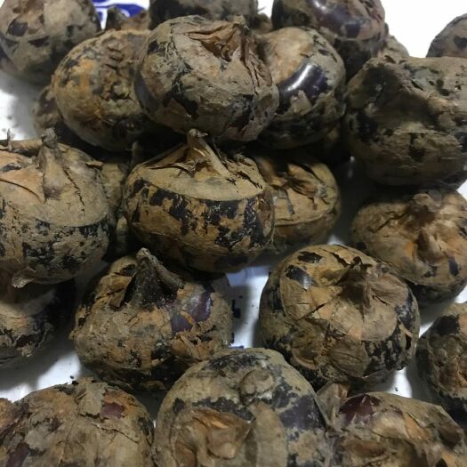 汕头汕头本地马蹄，自家农户种植，天然无农害，质量保证！