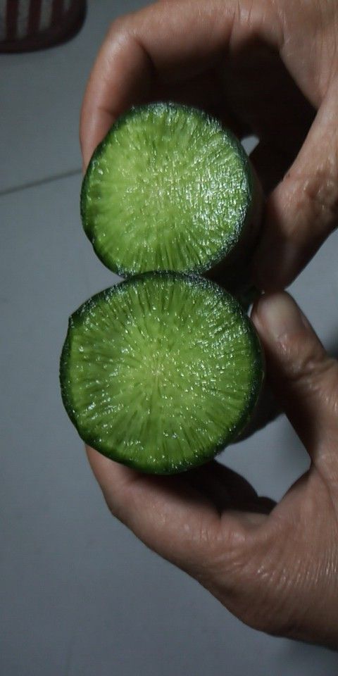 潍坊 装箱剩余小萝卜，口感脆甜