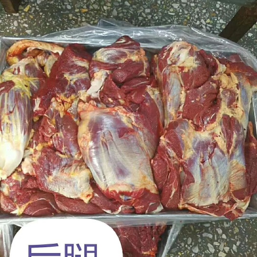 新鲜马肉 ，马后腿肉，吃草马肉，保质保量，一手货源