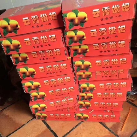 云霄县 云霄正宗枇杷诚信经营