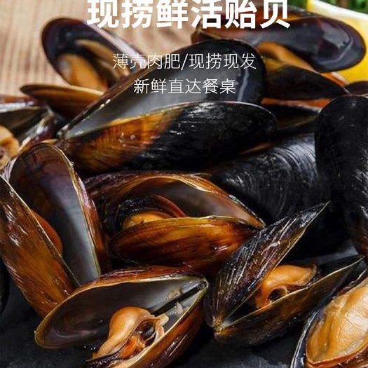 新鲜海虹发顺丰快递