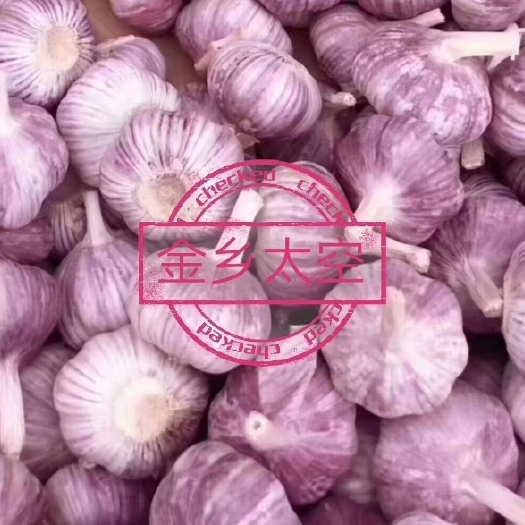 金乡县金乡大蒜 价格落得我想哭