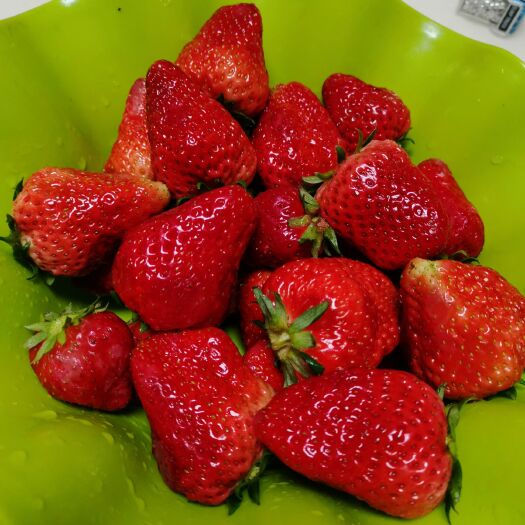 郯城县 红颜大草莓