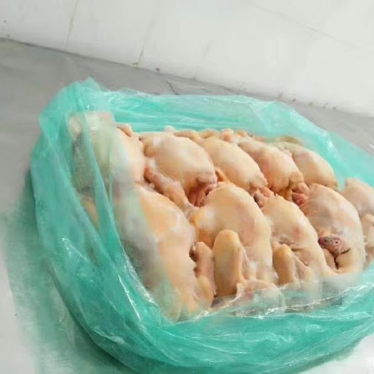  各種規(guī)格白條雞，童子雞，西裝雞，扒雞，肉雞