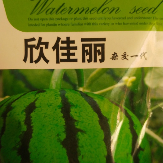 西瓜种子，大红瓤，有籽西瓜种子