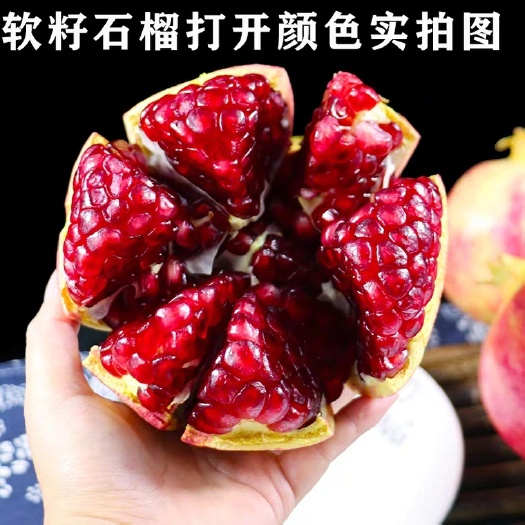 平邑县突尼斯软籽石榴树苗 突尼斯软籽石榴  基地直发 现挖现卖  品种保证 死苗补发！