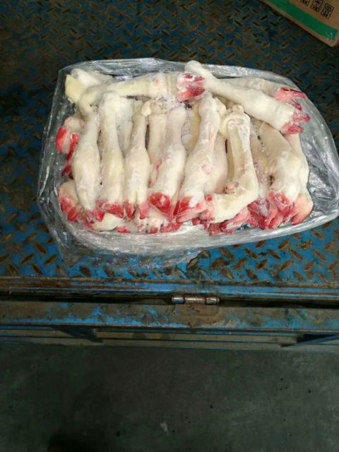 中牟县羊蹄