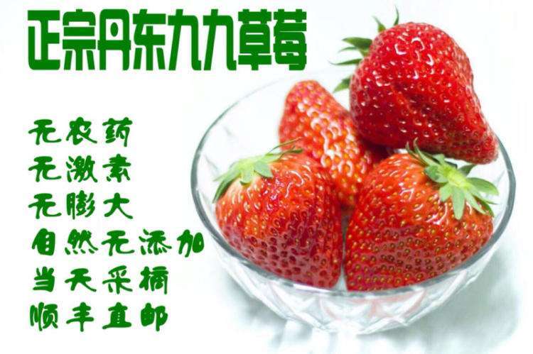 东港市 丹东九九草莓