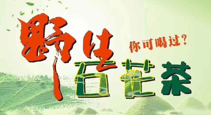 英德市 英德野 野林 石花茶 绿茶