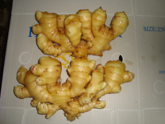 乳山市黄姜 混装通货 水洗