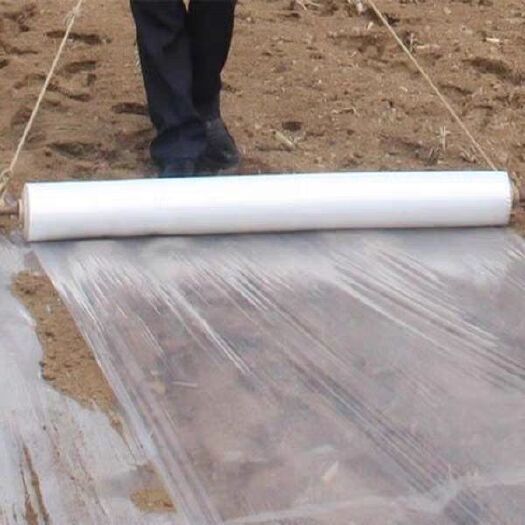 郯城县农资白色地膜保温保湿农用膜吹塑膜白地膜黑地膜果园蔬菜大棚薄膜