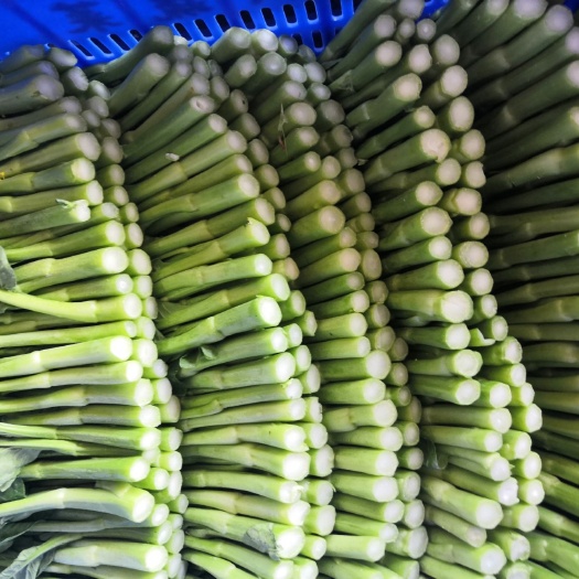 惠州青菜心 菜心自销