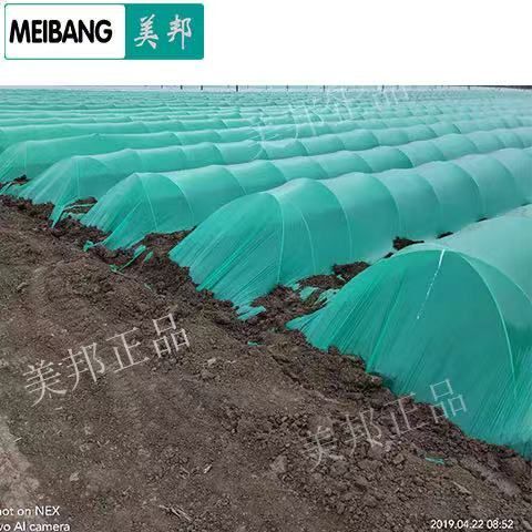 东莞市粗6.0毫米弓小拱棚杆大棚杆小弓棚杆内棚骨架地膜葡萄避雨棚弹