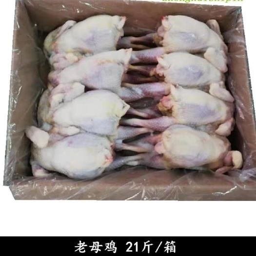 南京鸡肉类 老母鸡21斤装