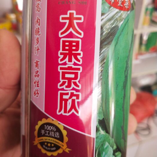 京欣 西瓜種子 大紅瓤 高糖14 度，易援粉
