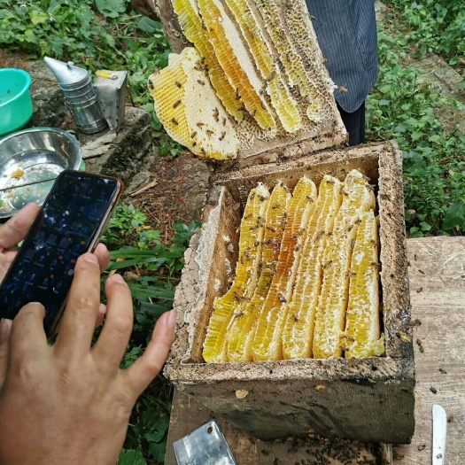 石柱 石柱土家槐花蜂蜜，
