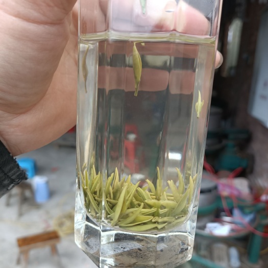 三都县都匀毛尖独芽