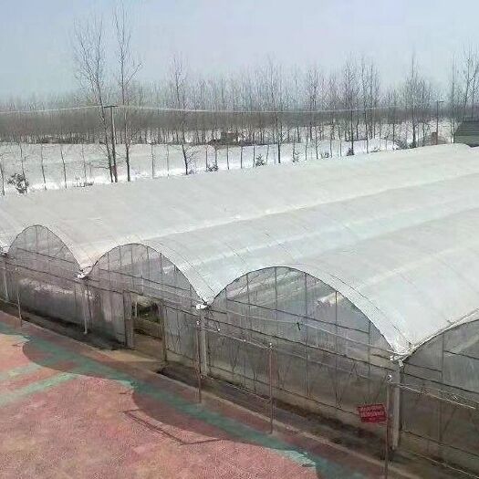 常州C型钢温室大棚 厂家直销养殖棚种植棚连栋棚