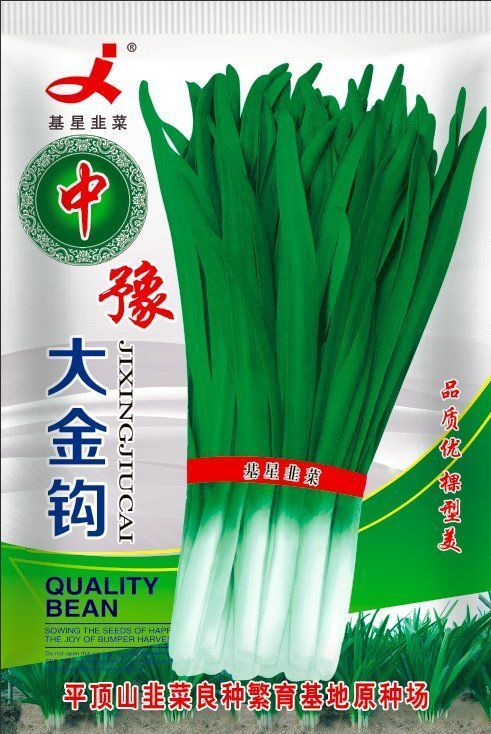 郑州韭菜种子 大金钩韭菜