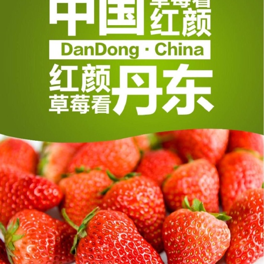 东港市甜查理草莓 好吃
