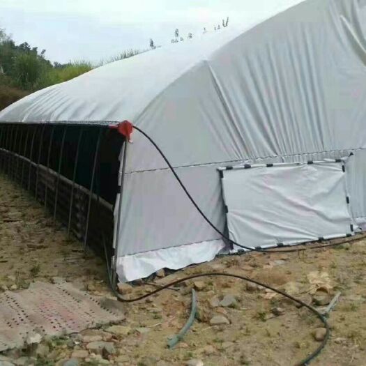 盐边县 养殖大棚