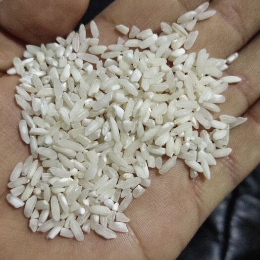 泗阳县贵潮米 三等品 早稻 籼米