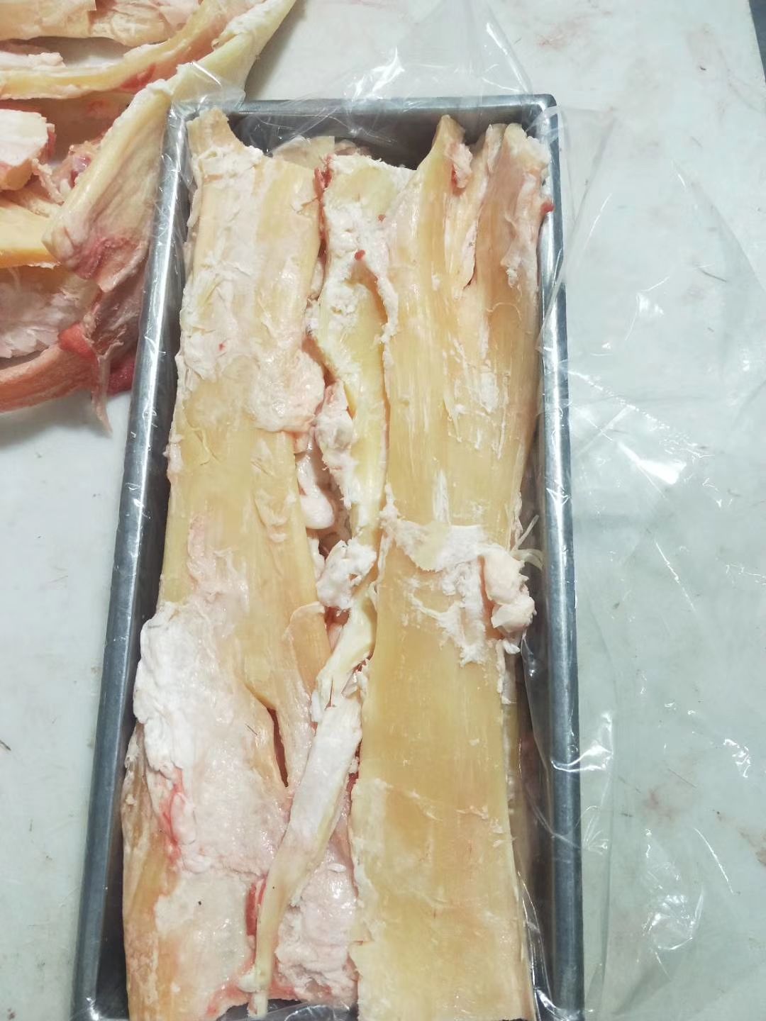 阳信县牛筋  国产纯干精修牛板筋，烧烤店，筋头巴脑锅适合产品