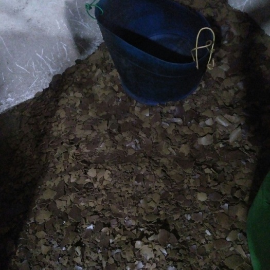 湘乡市茶枯 寻找合作伙伴！