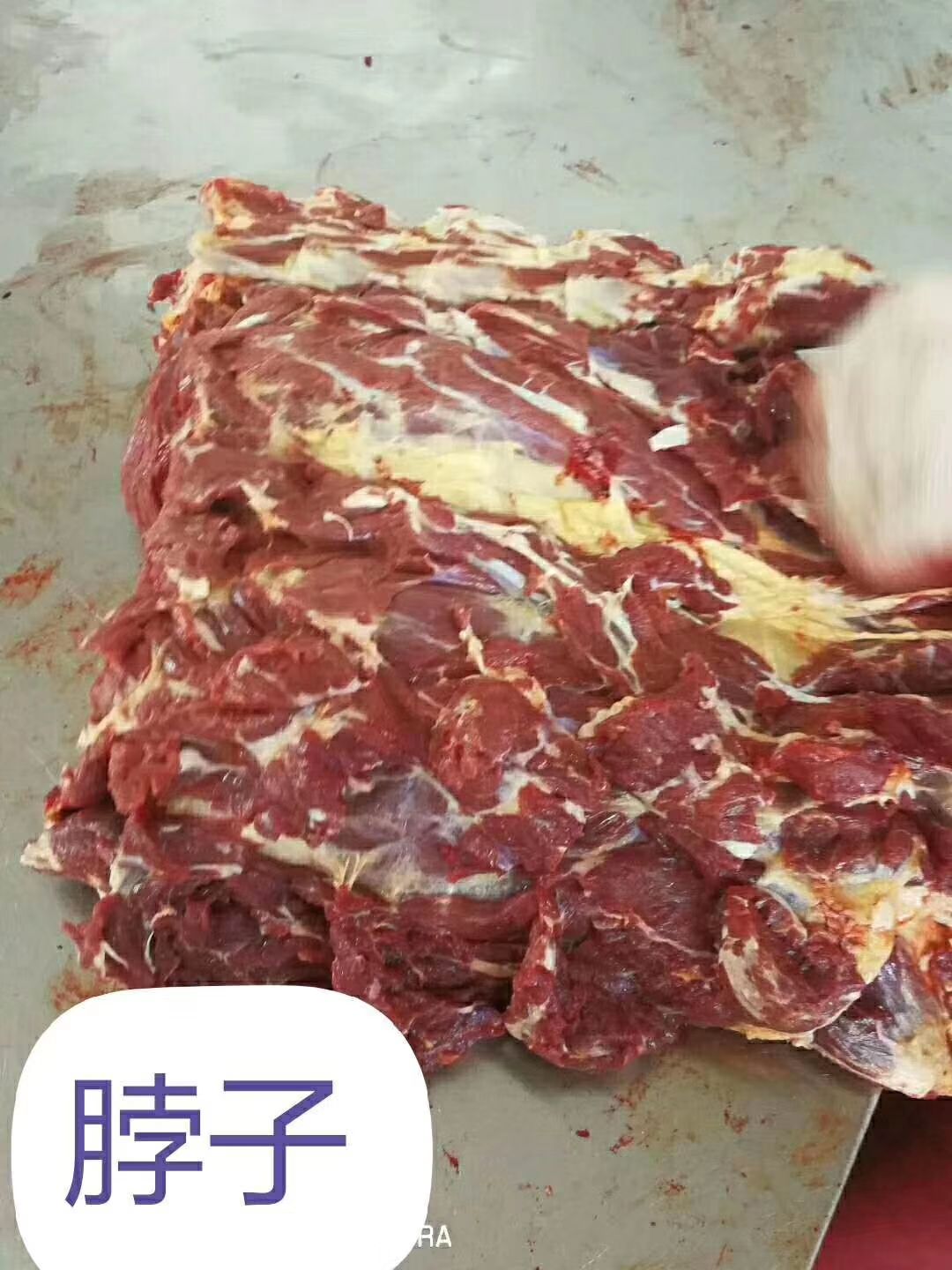 蒙古鲜马肉，不带皮马肉，马脖子肉，保质保量，一手货源，